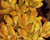 斯坦利 斯宾塞 : Crocuses